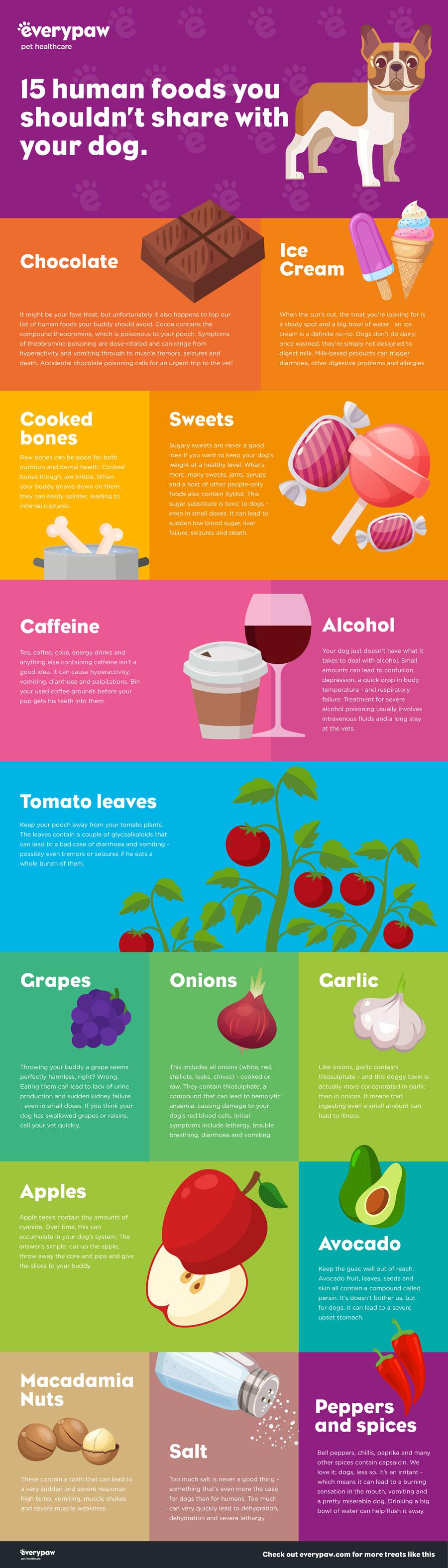 An infographic showing what foods to avoid sharing with a dog