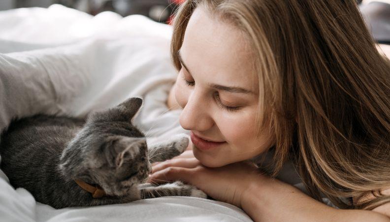 How to adopt a cat for a new cat owner