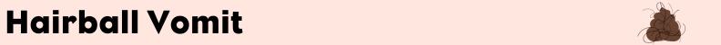 Hairball cat vomit
