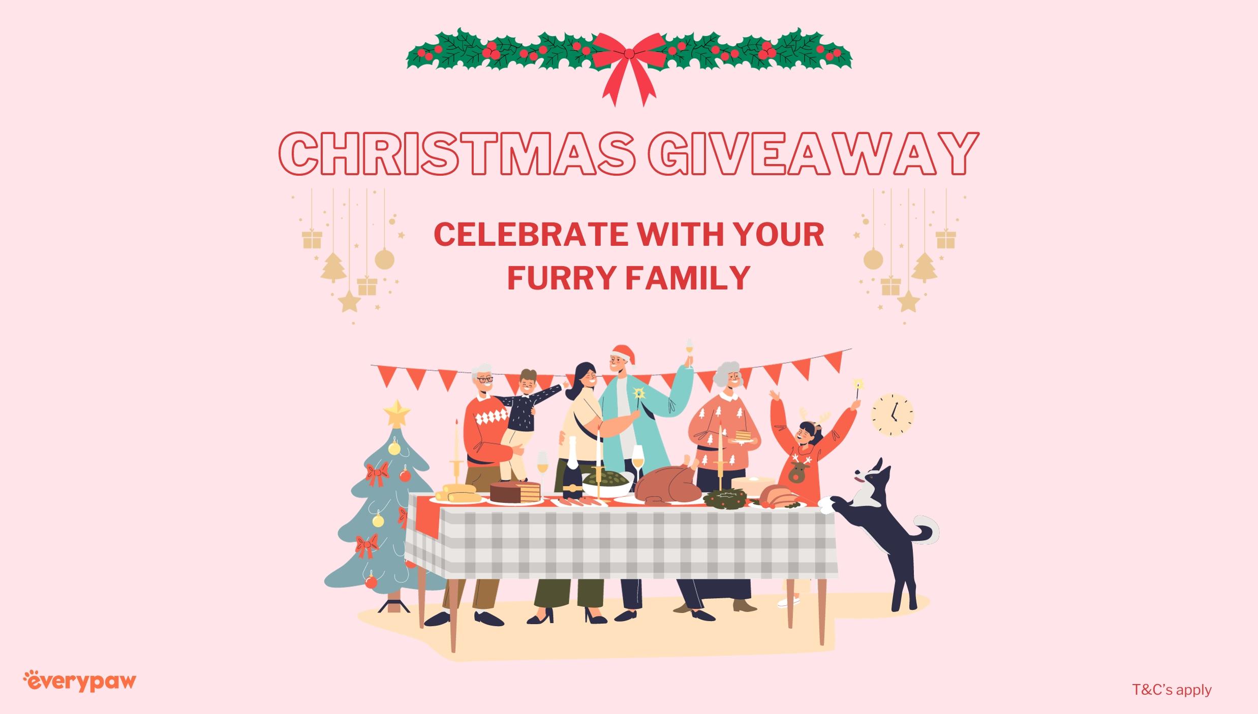 Celebrate Christmas with your furry family giveaway