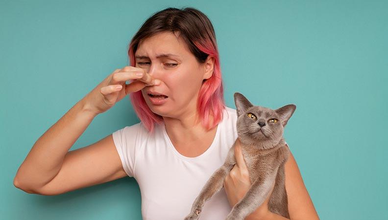 Woman holding her cat while pinching her nose