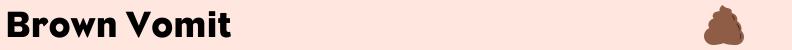 Brown dog vomit