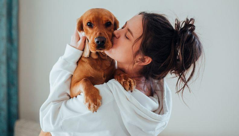 An emotional support animal being cuddled