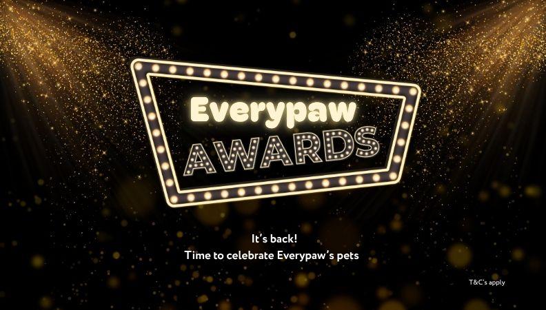 Everypaw Awards graphic poster.