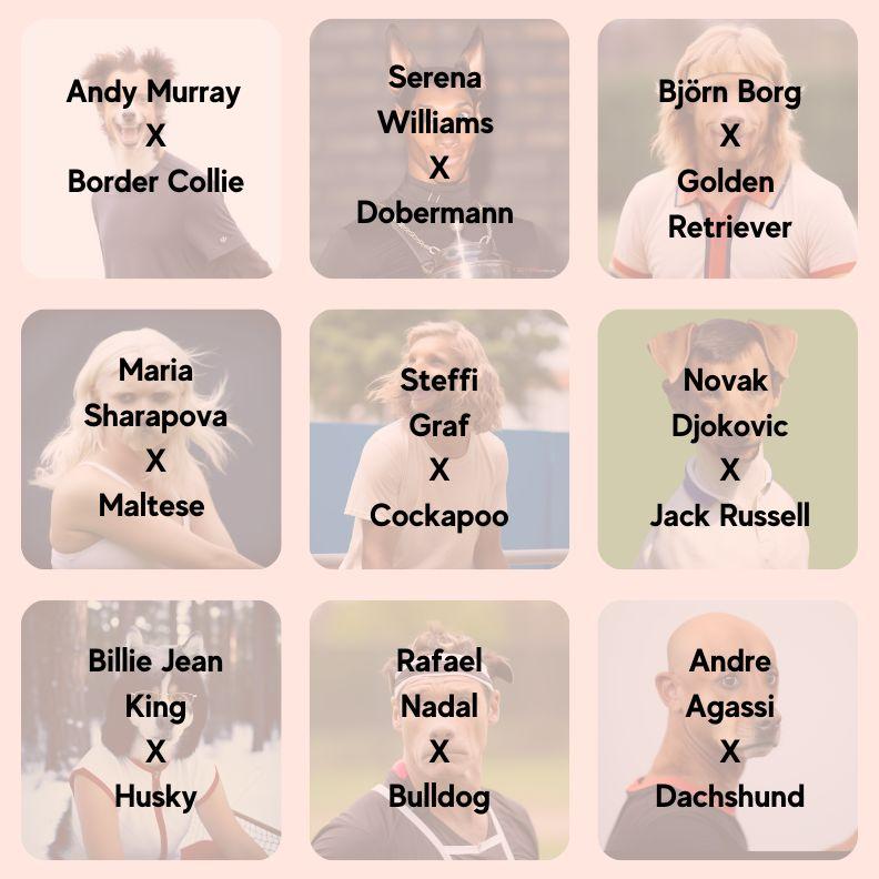 Answers to Everypaw's wimbledon tennis brain teaser