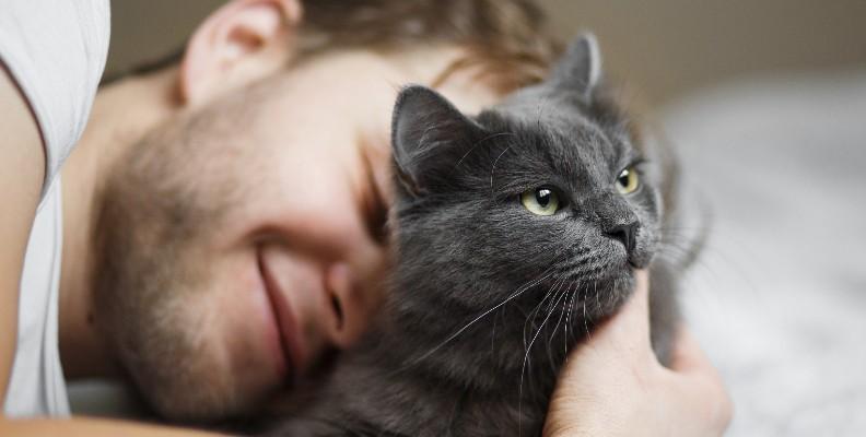 An owner cuddling their cat