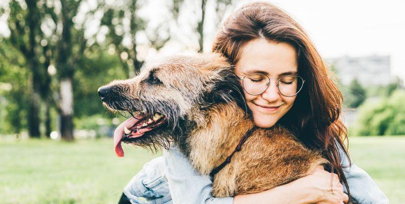 An owner cuddling their dog