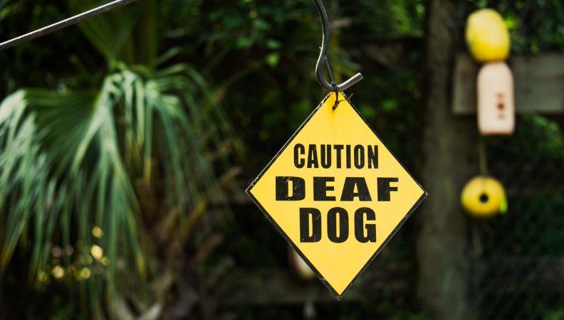 Caution sign for deaf dog warning 