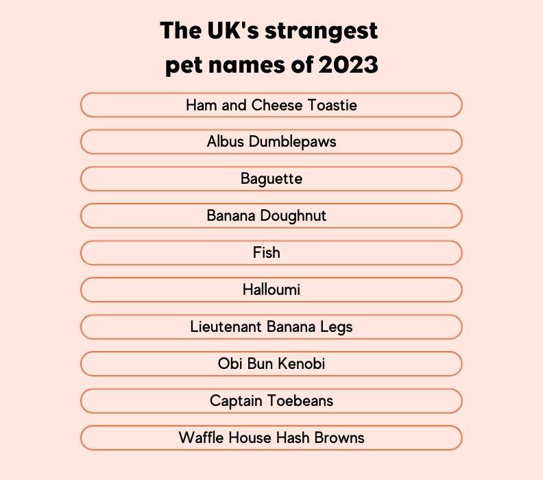 List of strangest pet names in the UK