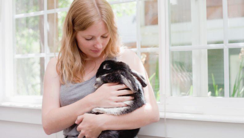 Create a pet owner's checklist for a rabbit, cat and dog