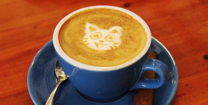 Coffee with a cat latte art