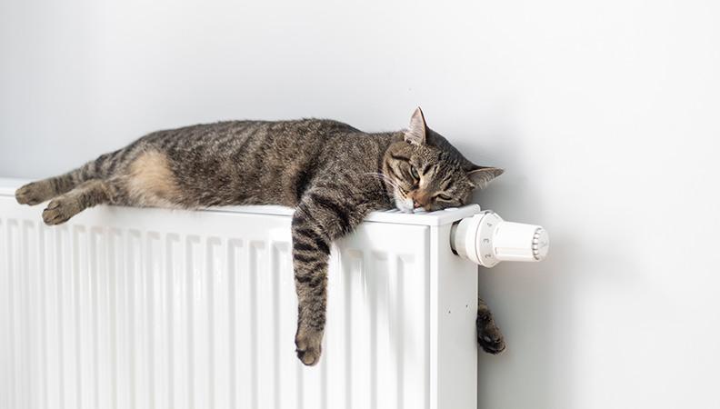 Grey cat laying on a radiator