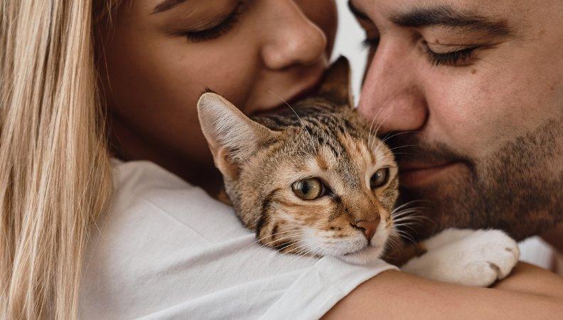 A couple kissing a cat 