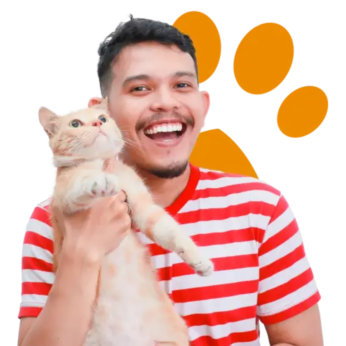 Insure Cat: Protect Your Feline Friend Today