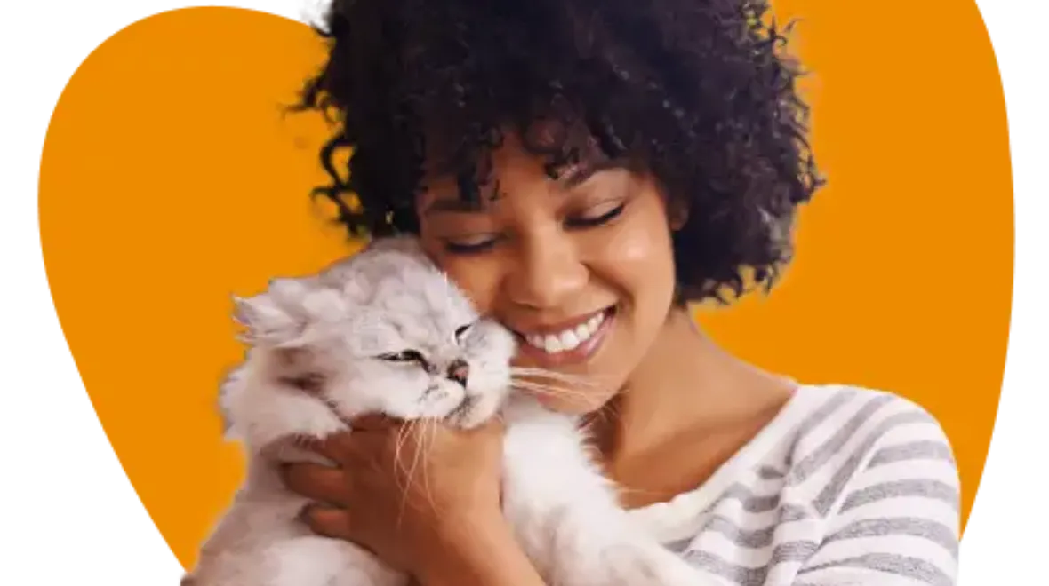 Multi Pet Insurance Lifetime Cover Pet Insurance Cover and Quotes | Everypaw