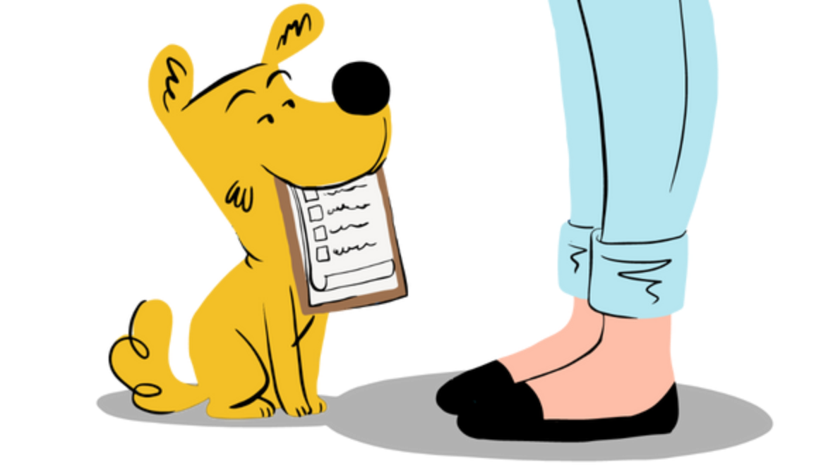 Pet Insurance Cover and Quotes Everypaw