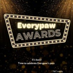The 2025 Everypaw Awards
