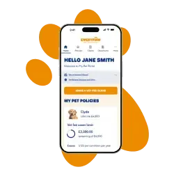 An illustration of a rabbit reading the Everypaw Pet Portal on a phone