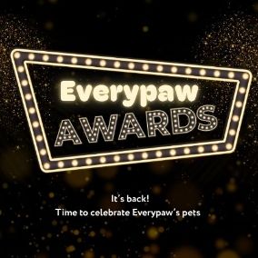 The 2025 Everypaw Awards