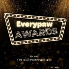 The Everypaw Awards 2025
