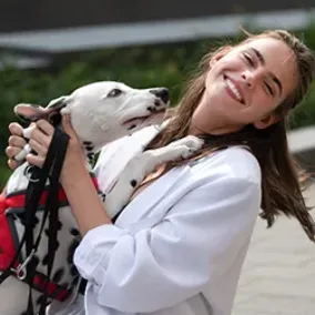 How to calm an excited dog