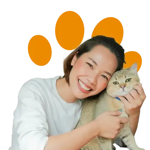 An illustration of a nervous cat calling their pet insurance company