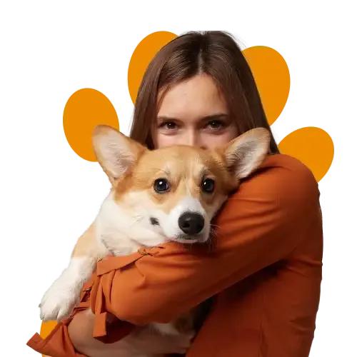 An illustration of a sad cat wearing a veterinary collar