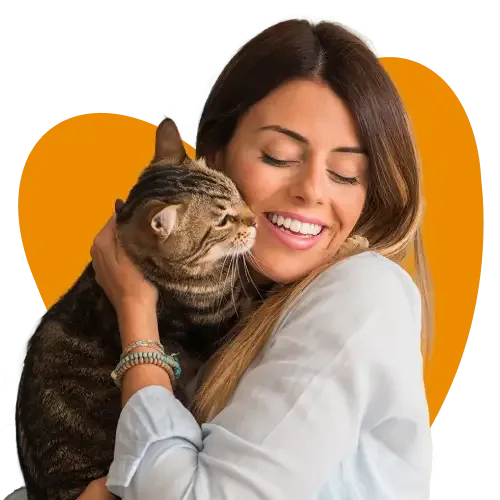 An illustration of a scared dog being treated by a vet