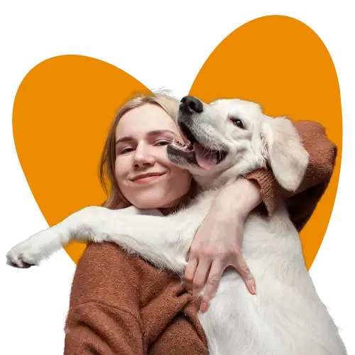 An illustration of a happy rabbit holding a pet insurance certificate