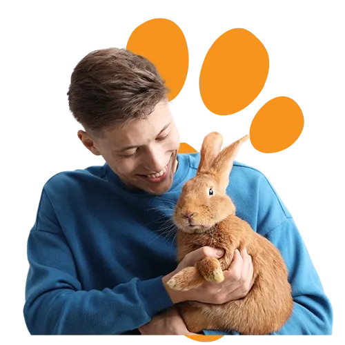 Man cuddling his brown rabbit