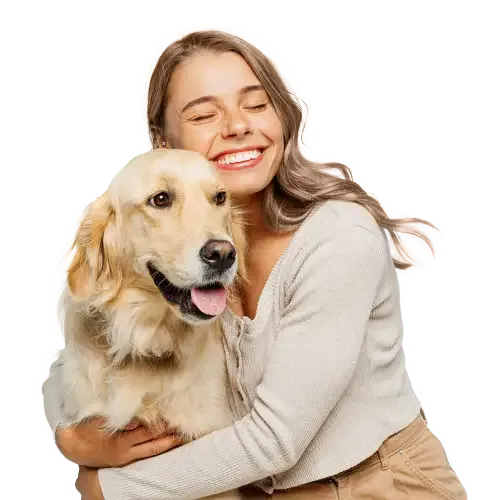 Dog Insurance quotes