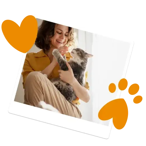 A Staffordshire Bull Terrier and a Dalmatian Everypaw Dog Insurance