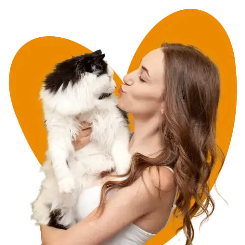 A cat, dog and rabbit for Everypaw's Lifetime Pet Insurance