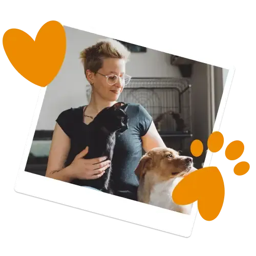 A dog, cat and rabbit to promote Everypaw's Multi-Pet Insurance