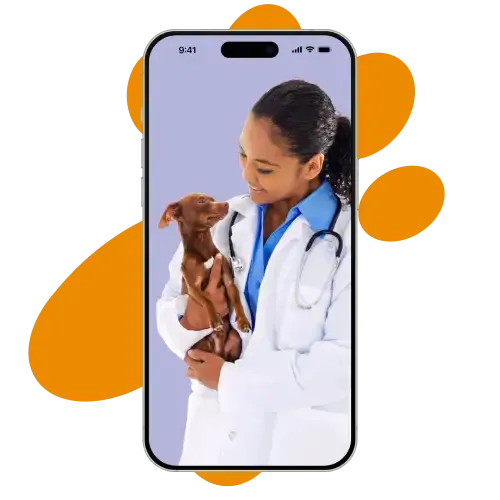 Vet holding a pet on video call