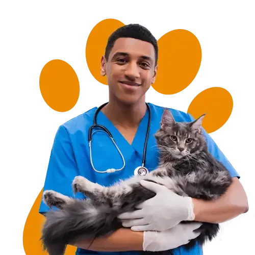 Image of a PawSquad vet holding a sick cat