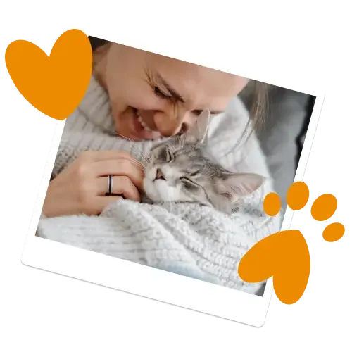 Illustration of a cat, dog and rabbit on pet insurance excess explained