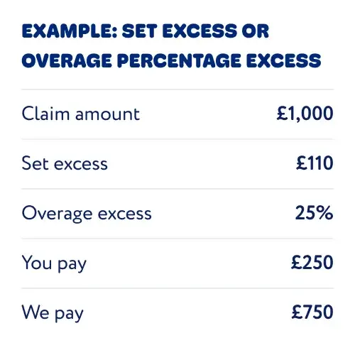 example image of pet insurance set excess or overage percentage excess