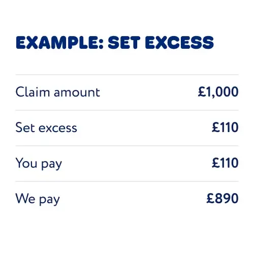 example image of pet insurance set excess