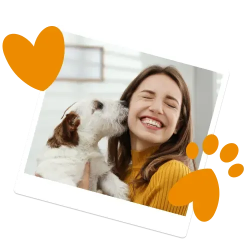 Senior dog for Everypaw's Pet Insurance for Older Pets