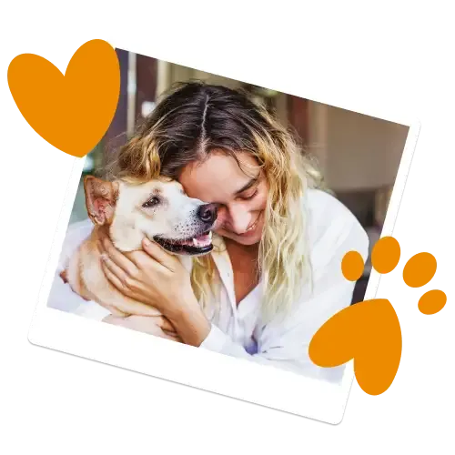 A dog and a cat compare Everypaw's Insurance for Pets