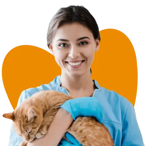 How to claim on pet insurance