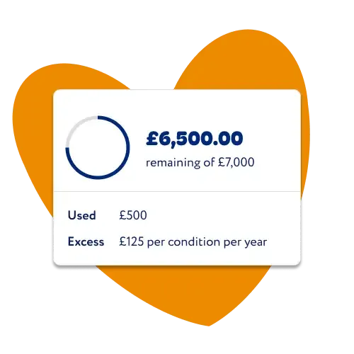 A screenshot of Everypaw's Pet Portal Benefit Tracker