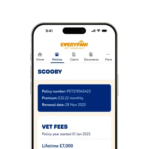 A screenshot of Everypaw's Pet Portal Policies page