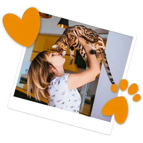 A woman kissing her Bengal Cat