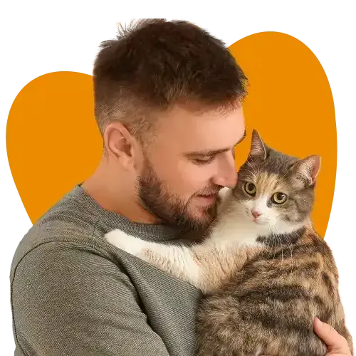 Multi-dog insurance for two dogs