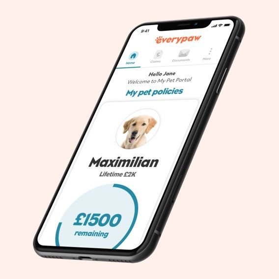 A phone screen image of Everypaw's Pet Portal