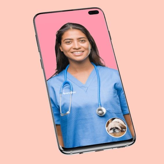 A phone image of an Everypaw Petcall vet nurse