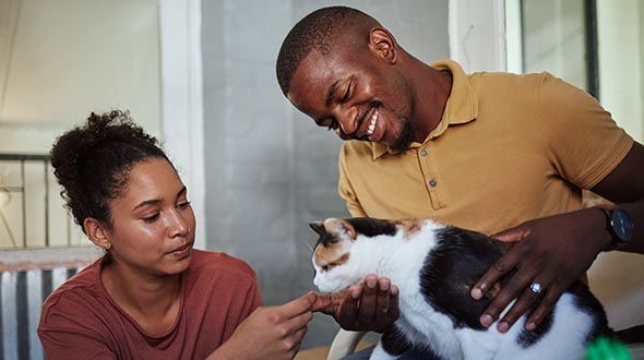 Couple smiling and stroking their cat