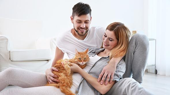 Couple with their ginger cat on the sofa